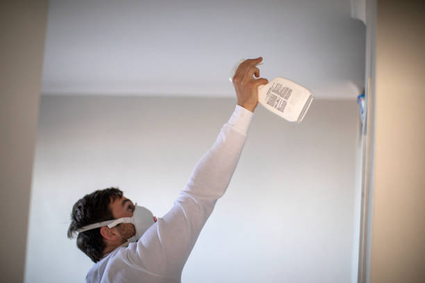 Best Mold Testing and Inspection Services in Madison, SD